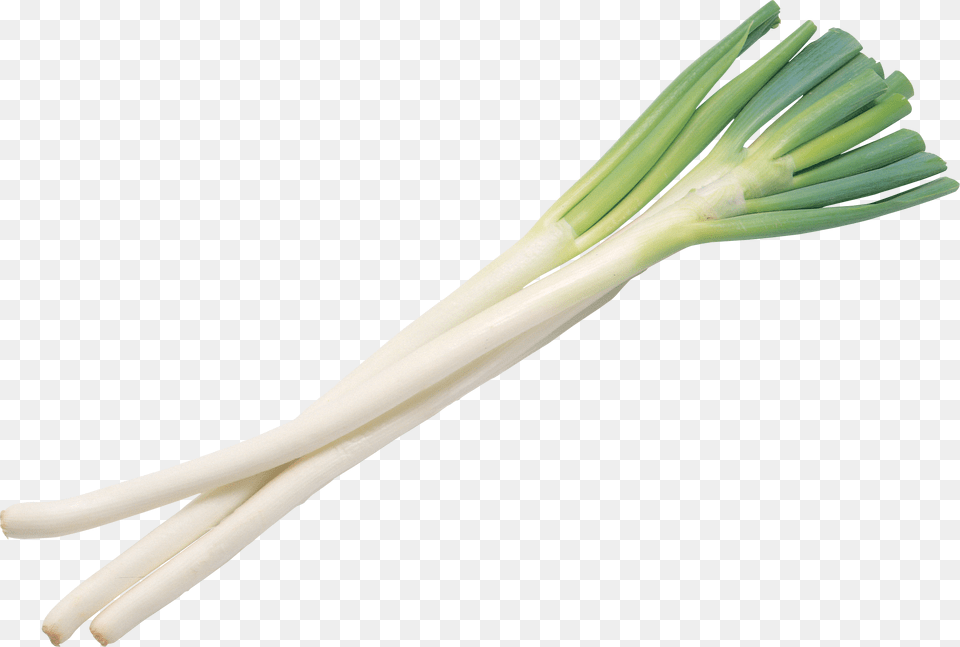 Leek, Food, Produce, Blade, Dagger Png Image