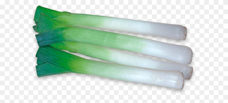 Leek, Food, Produce, Plant, Vegetable Free Png Download