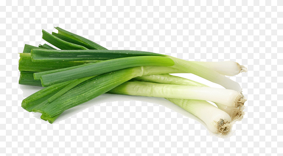 Leek, Food, Produce, Plant, Vegetable Png