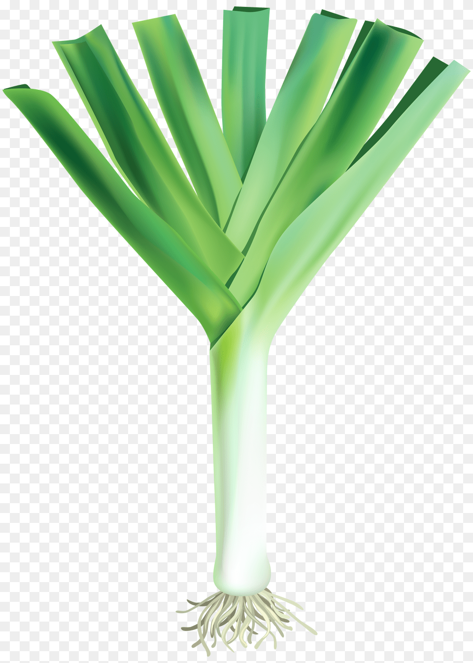 Leek Free Png Download