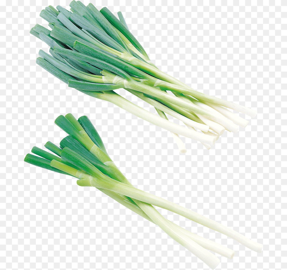 Leek Download Image With Background Onion, Food, Produce, Plant, Spring Onion Free Transparent Png