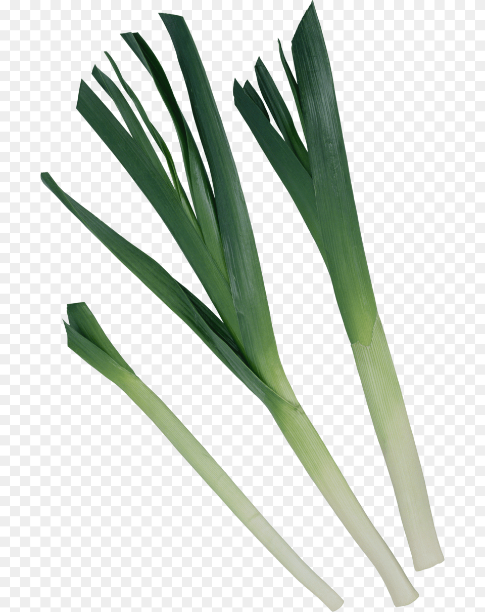 Leek Download Image With Background Welsh Onion, Food, Plant, Produce, Vegetable Free Transparent Png