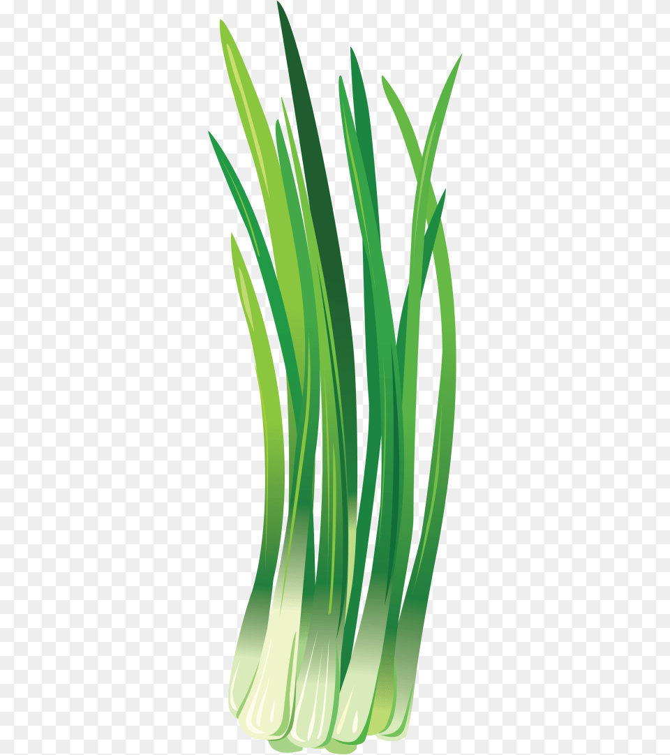 Leek Download With Transparent Background Zelenij Luk, Food, Plant, Produce, Vegetable Png Image