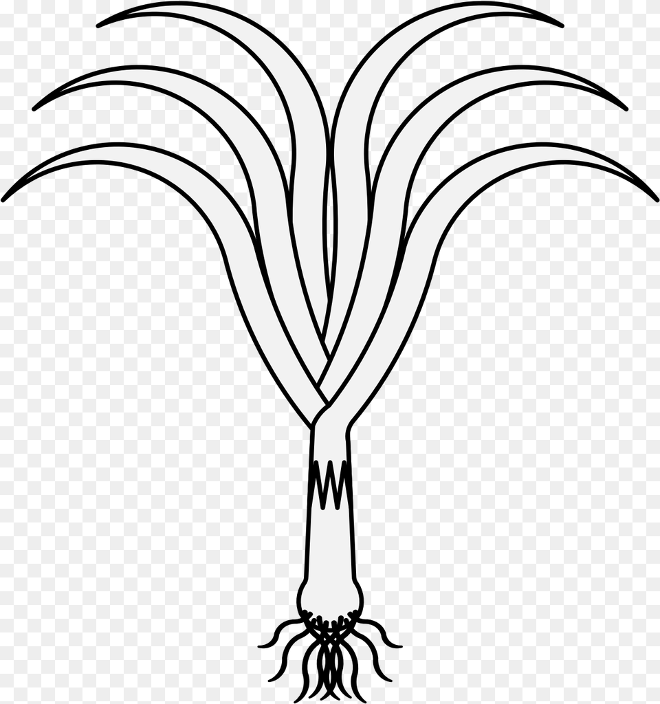 Leeks Clipart Black And White, Stencil, Food, Produce, Chandelier Free Png