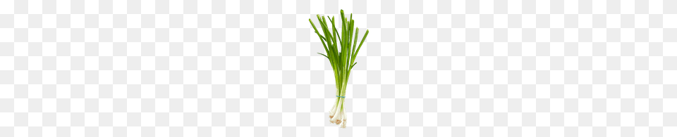 Leeks Cucumbers Celery Loblaws, Food, Plant, Produce, Spring Onion Free Transparent Png