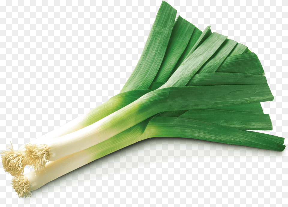 Leekwelsh Familyleaf Vegetableshallot Leeks Images, Food, Leek, Plant, Produce Png Image