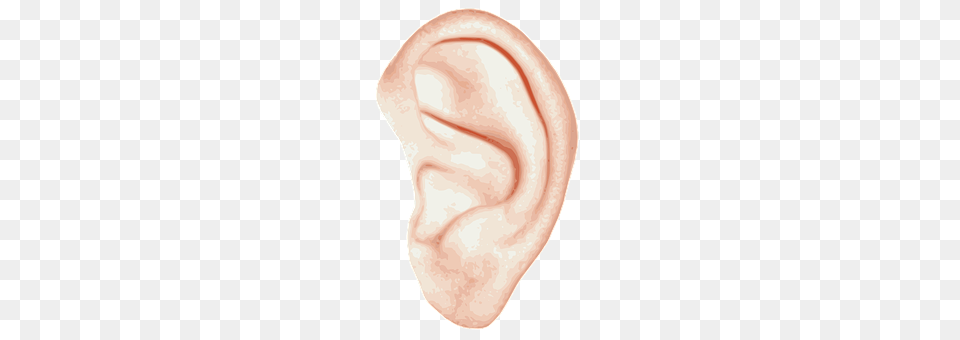 Left Body Part, Ear, Plate Png Image