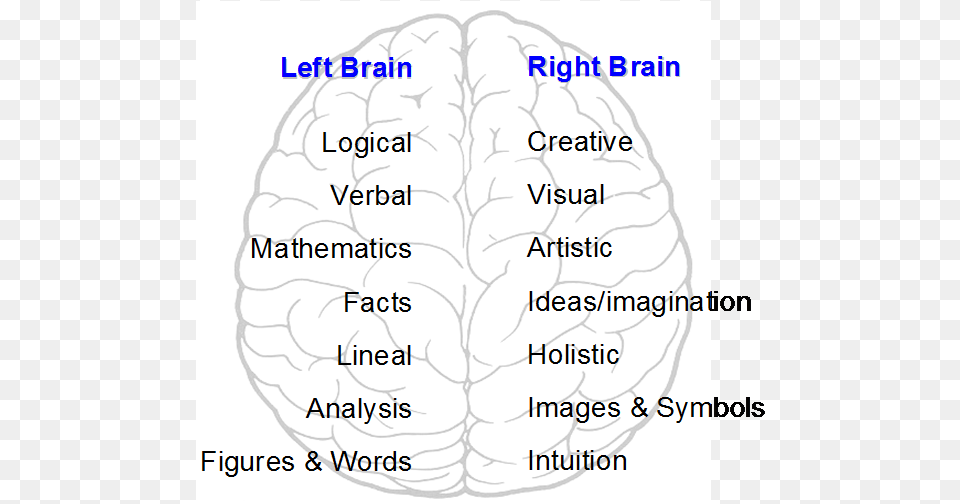 Left And Right Brain Hemispheres, Chart, Plot, Ct Scan, Text Png