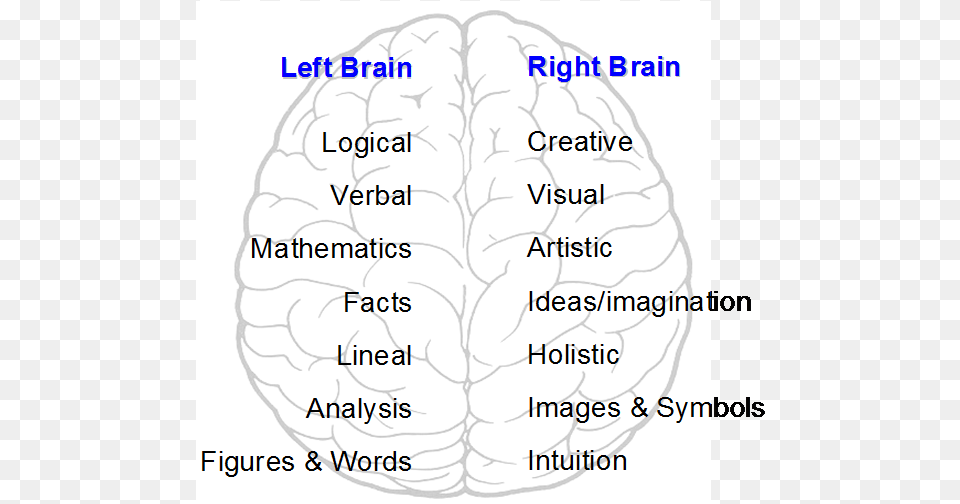 Left And Right Brain Left And Right Brain Hemispheres, Chart, Plot, Ct Scan, Text Free Transparent Png