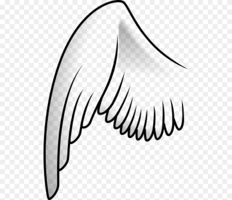 Left Angel Wing, Gray Free Transparent Png
