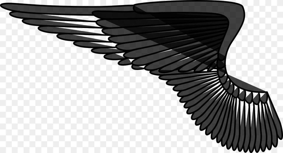 Left Angel Wing, Gray Png