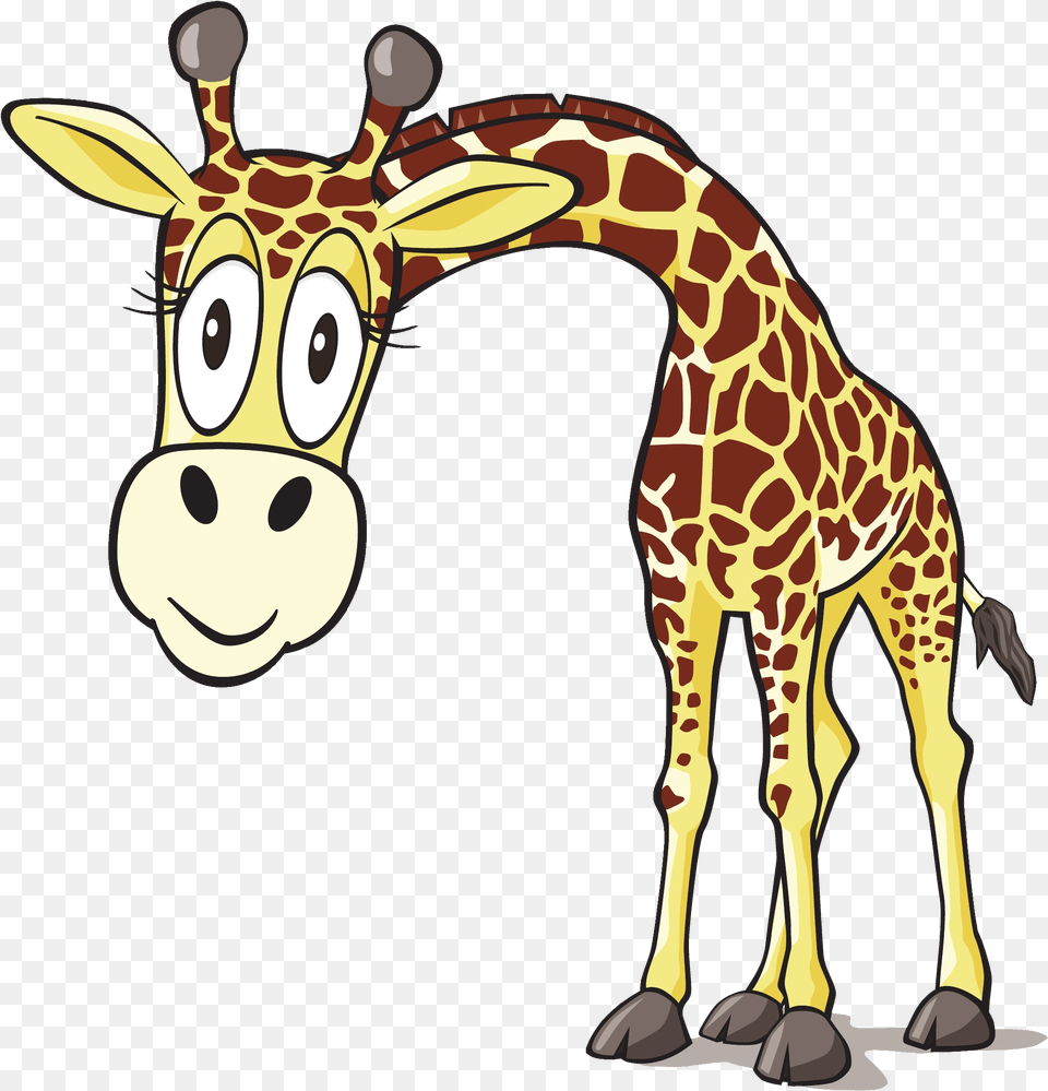 Left Facing Giraffe Anthony Perl 2016 11 09t06 Giraffe, Animal, Mammal, Wildlife Free Png