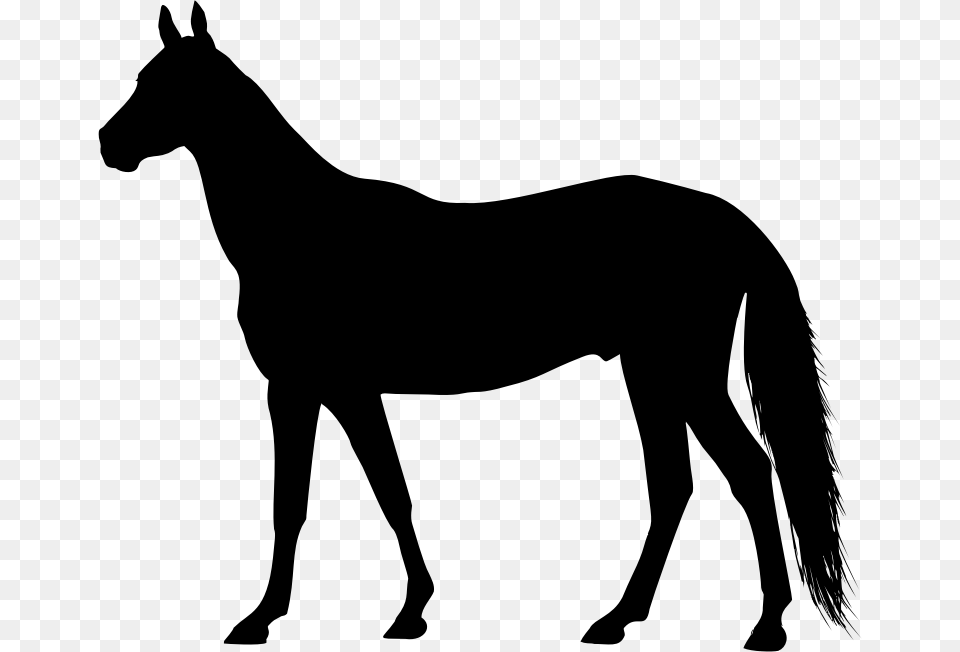 Left Facing Horse Silhouette Horse Silhouette Clip Art Free, Gray Png Image