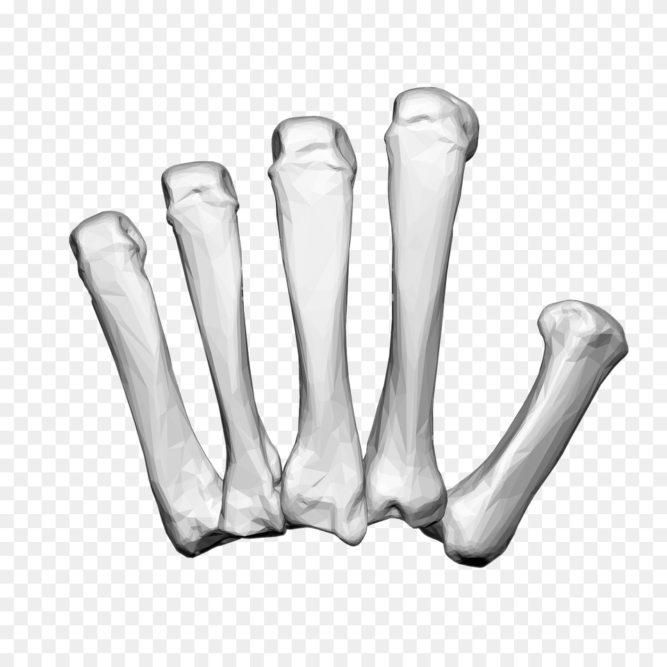 Left Hand Carpal Bones, Smoke Pipe, X-ray Png Image