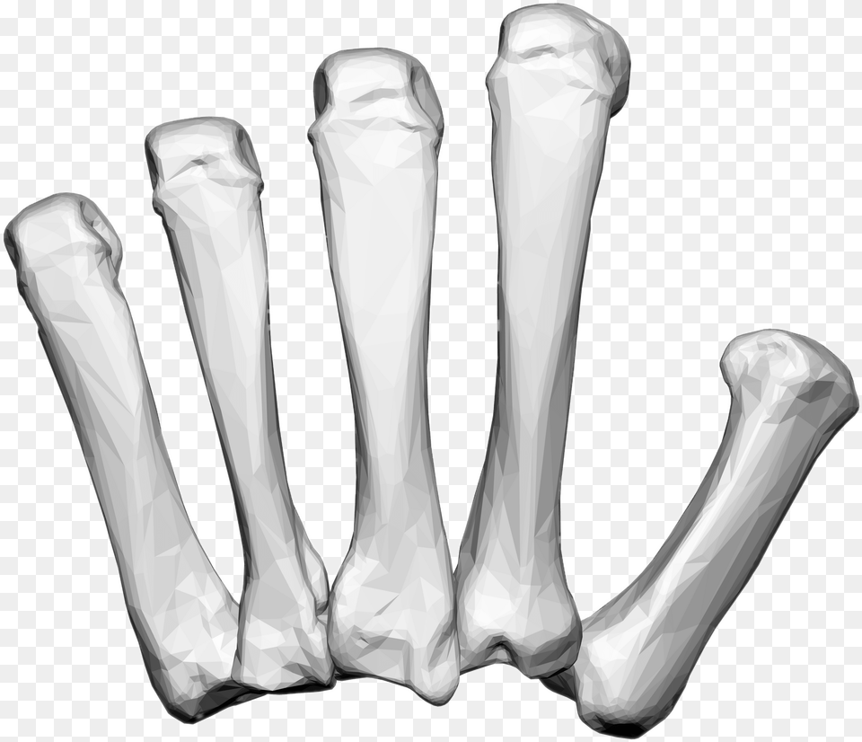 Left Hand Carpal Bones Tissue Engineering Therapy And Applications Of Bone, X-ray, Smoke Pipe Free Png