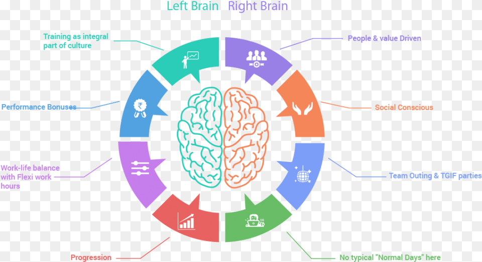 Left Hand Left Brain The Plot Thickens Dana Foundation Right Brain Clipart Png