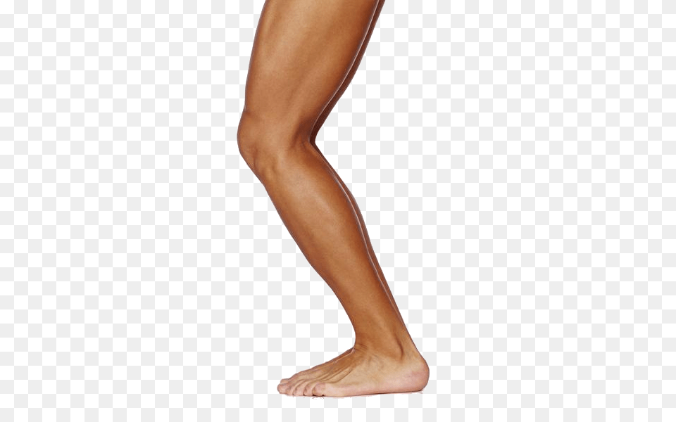 Leg, Adult, Female, Person, Woman Free Png Download