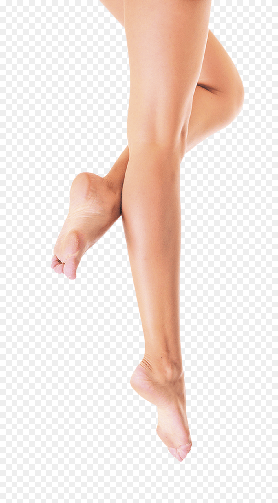 Leg, Adult, Female, Person, Woman Free Png
