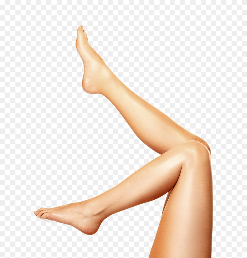 Leg, Adult, Ankle, Body Part, Female Free Png
