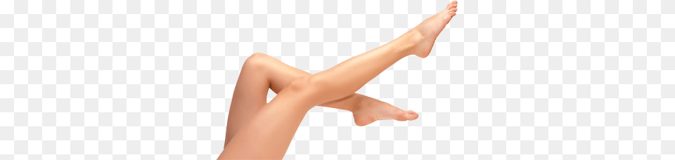 Leg, Adult, Ankle, Body Part, Female Png