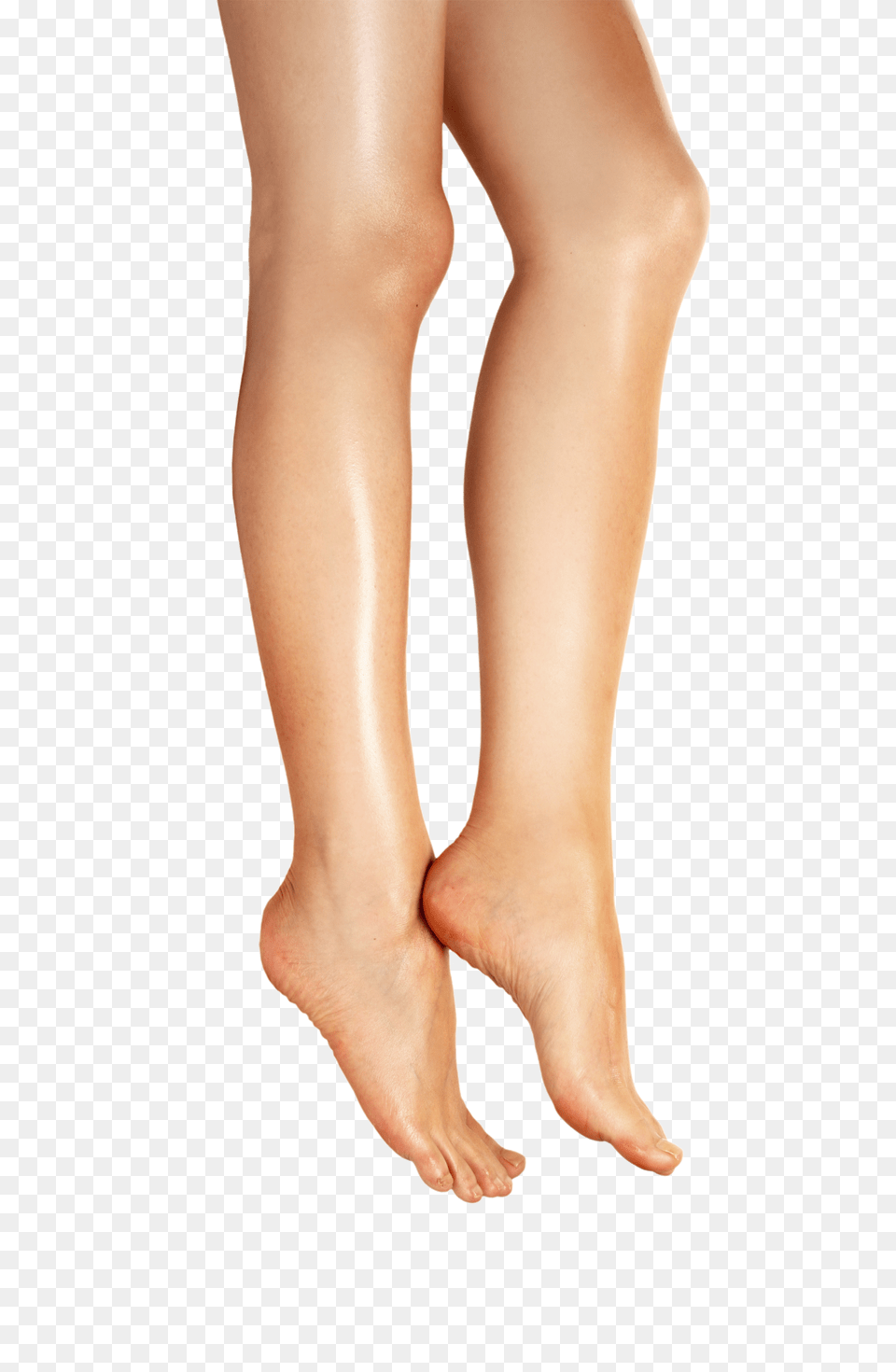 Leg, Adult, Female, Person, Woman Free Png