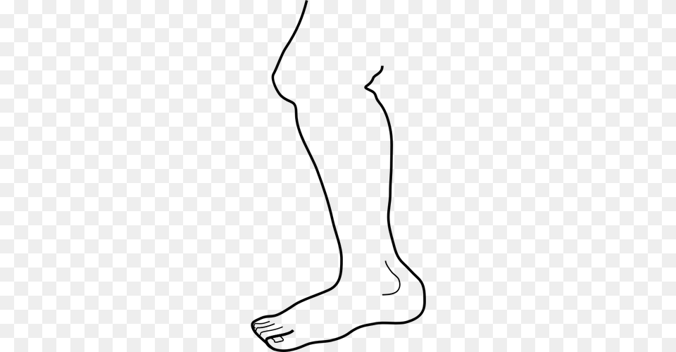 Leg Clip Art Image, Gray Png