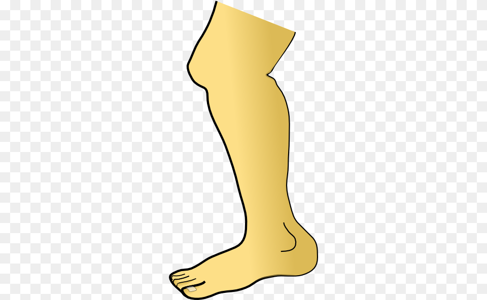 Leg Clipart, Ankle, Body Part, Person Free Png Download