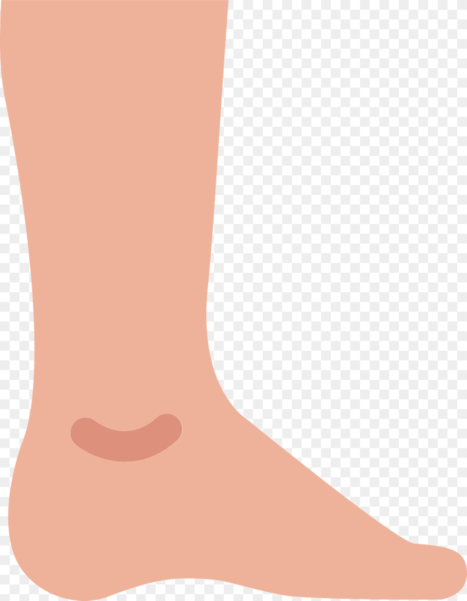 Leg Clipart, Ankle, Body Part, Person Free Png
