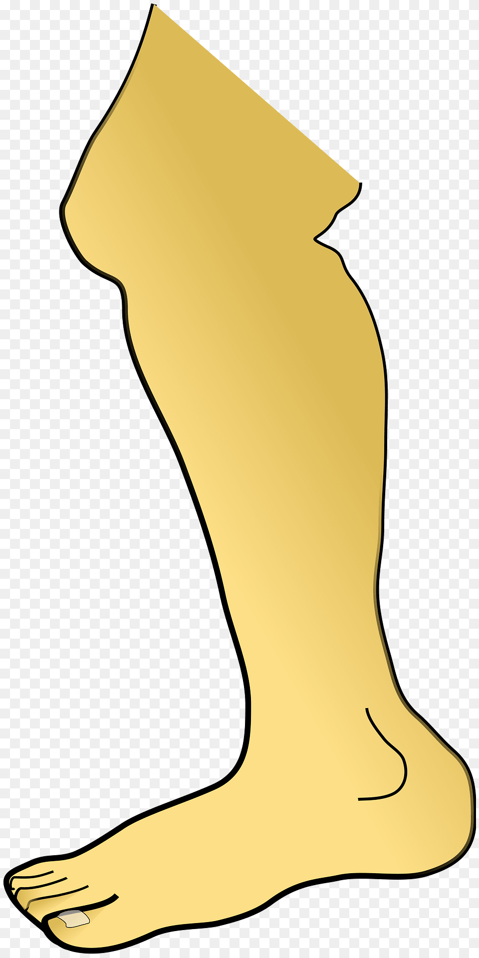 Leg Clipart, Ankle, Body Part, Person Free Transparent Png