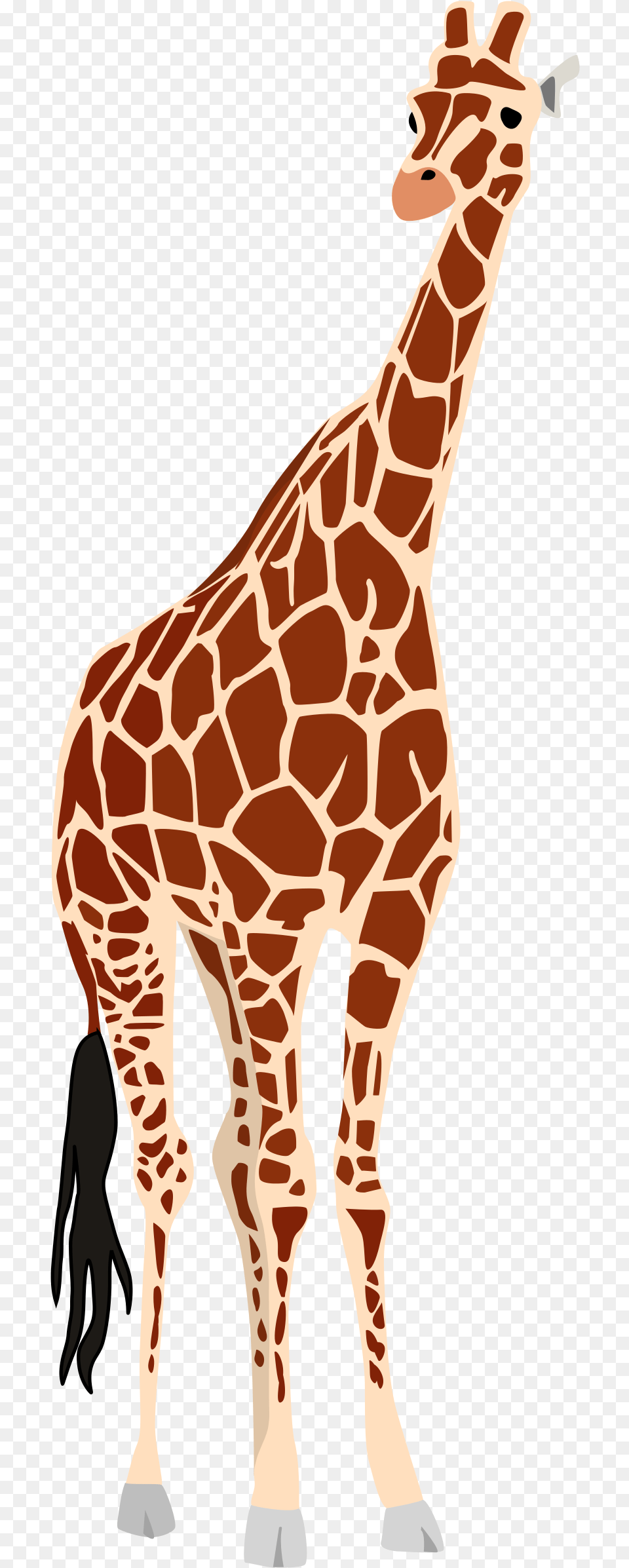 Leg Clipart Giraffe Giraffe Vector, Animal, Mammal, Wildlife Free Png