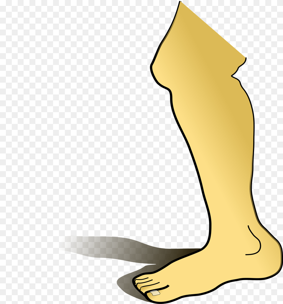 Leg Icons, Ankle, Body Part, Person, Adult Free Png Download