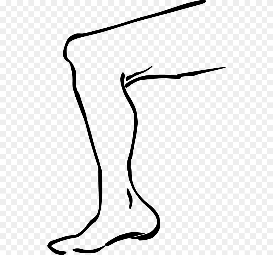 Leg Pictures Clip Art, Gray Png