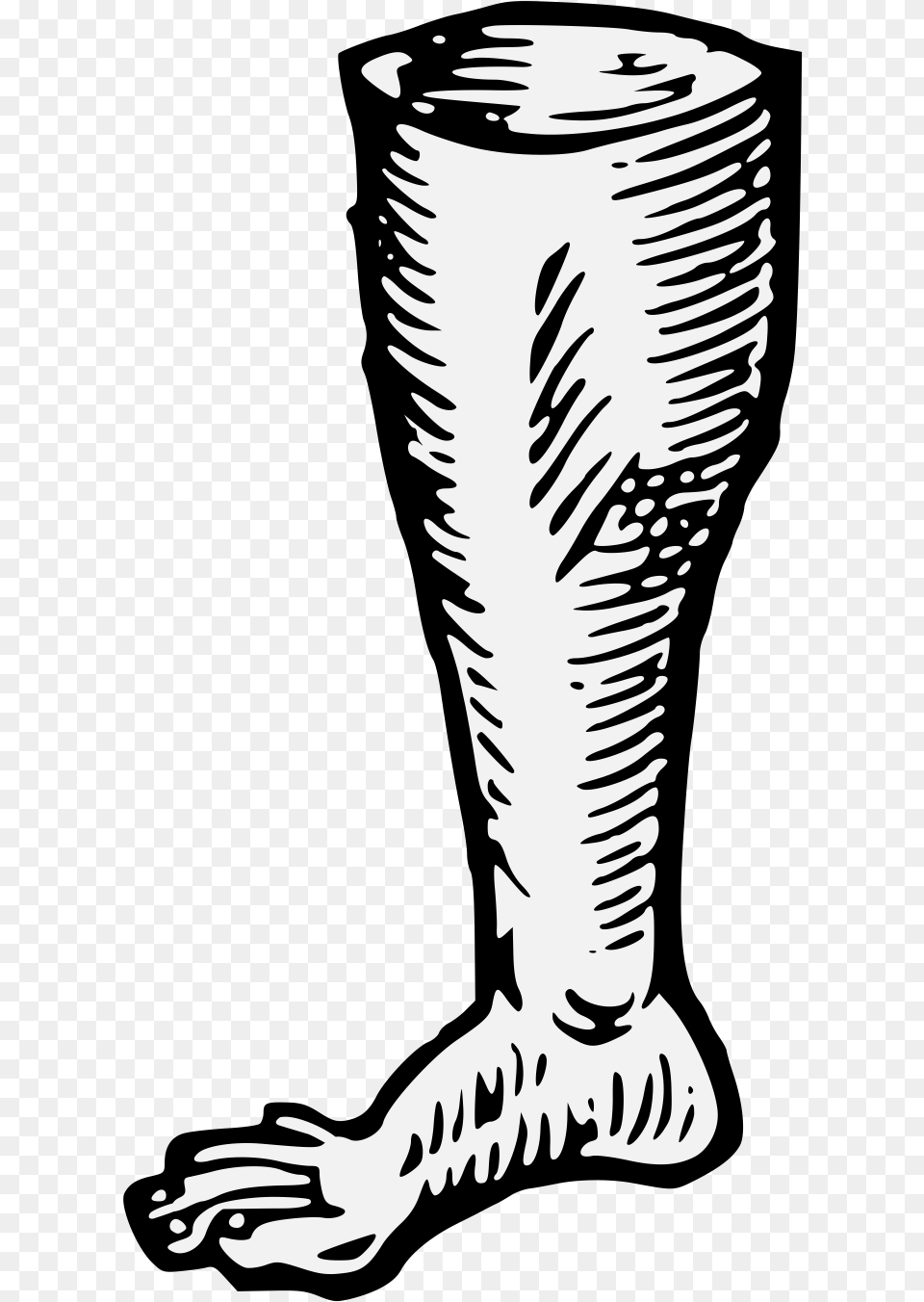 Leg Traceable Heraldic Art Horizontal, Glass, Person Free Transparent Png