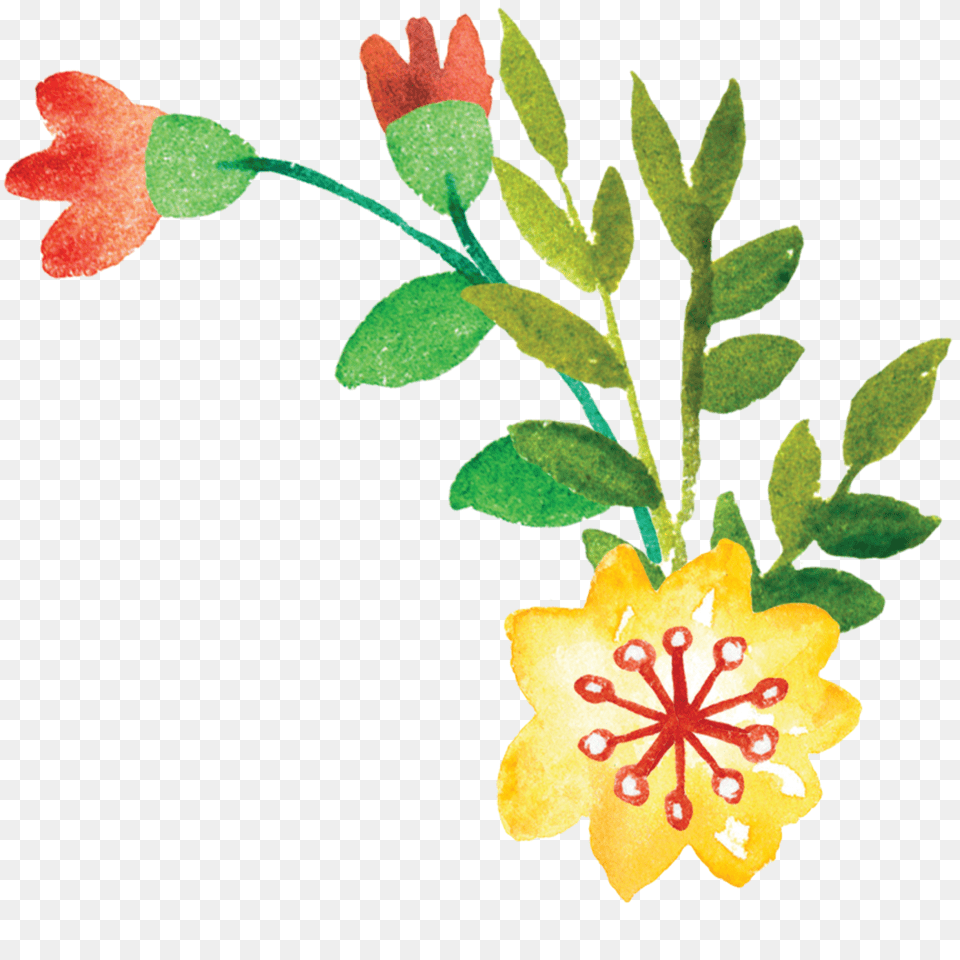 Legacy Family Breakfast Rsvp, Flower, Leaf, Plant, Anther Free Transparent Png