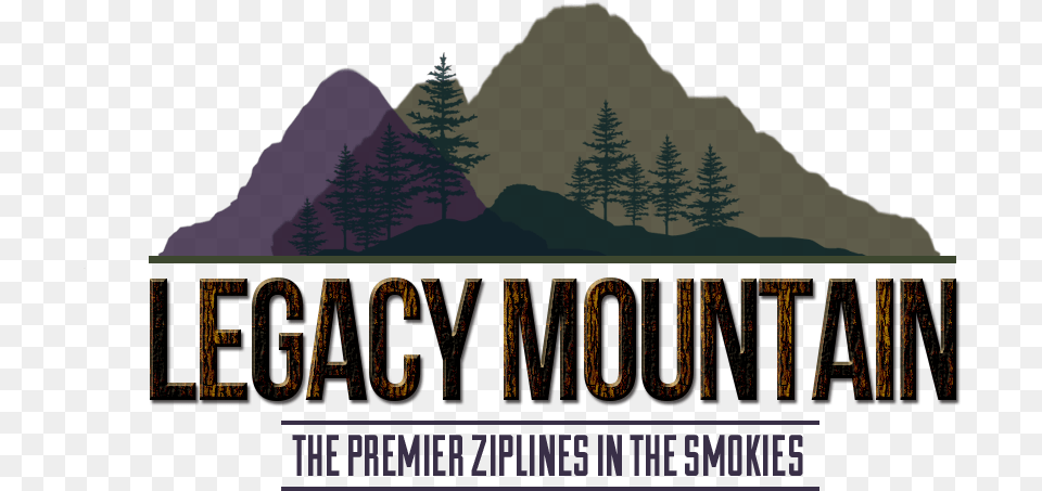 Legacy Mountain Ziplines Summit, Vegetation, Tree, Plant, Outdoors Free Png Download