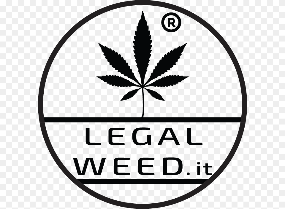 Legal Weed Cannabis Light Marijuana Leaf, Plant, Logo Free Png Download