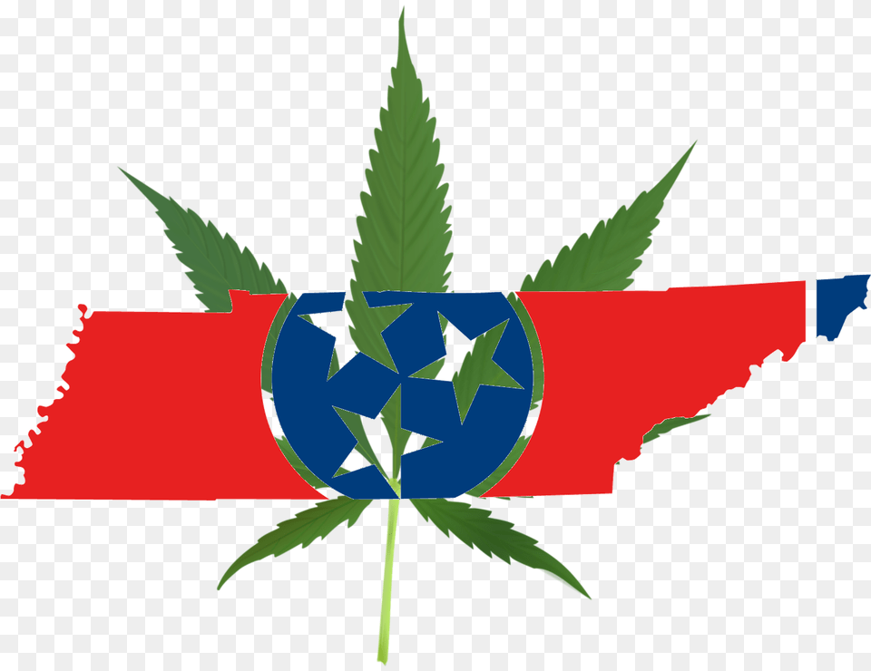 Legalization Issue Divides Candidates In Tennessee Governor Race, Leaf, Plant, Weed Free Transparent Png