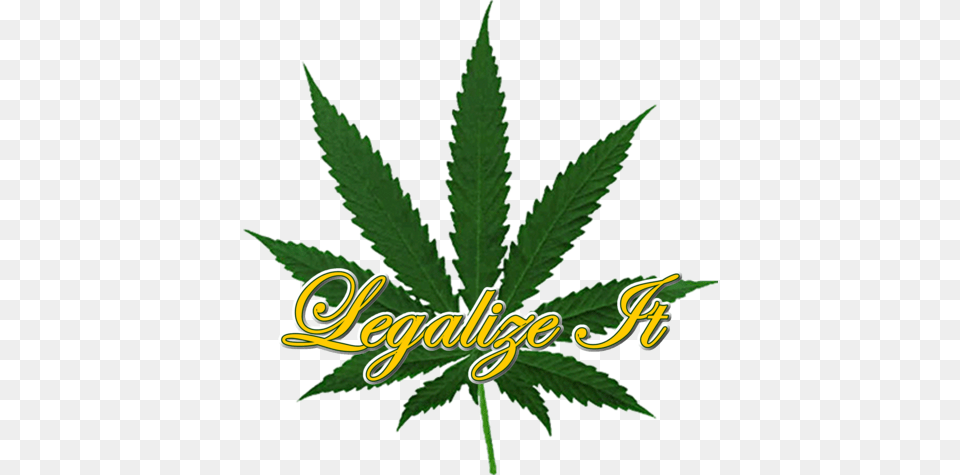 Legalize It Pot Leaf Marijuana Leaf Psd, Plant, Weed, Hemp, Herbal Free Transparent Png