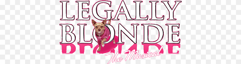 Legally Blonde Legally Blonde The Musical Logos, Animal, Canine, Pet, Dog Png
