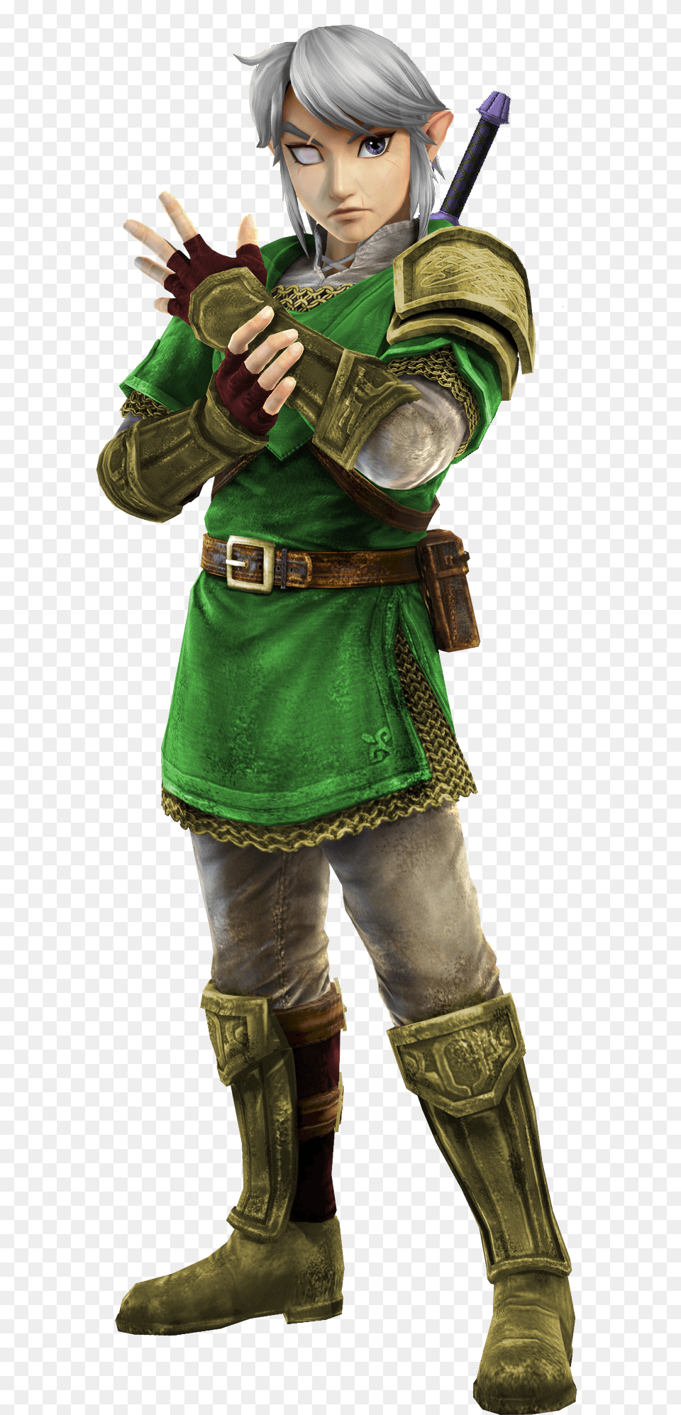 Legend Of Zelda Link, Clothing, Costume, Person, Boy Free Png