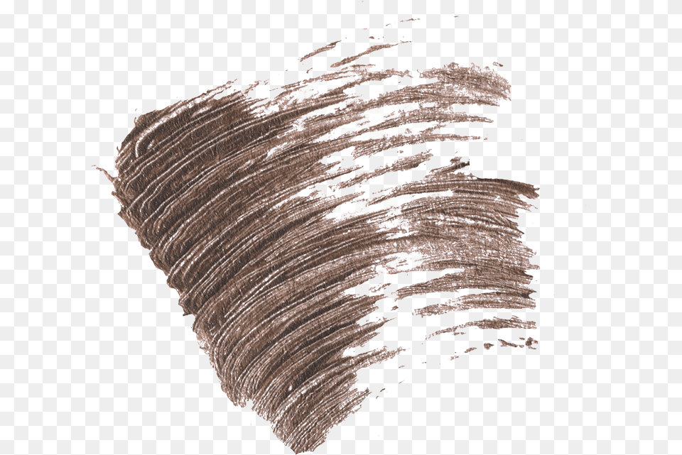 Legendary Brows Supermodel Swatch Png Image