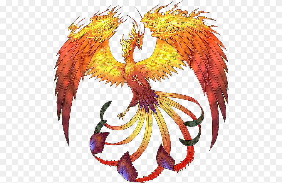 Legendary Creature Mythology Folklore Mythical Creatures Phoenix, Dragon, Animal, Bird Png Image