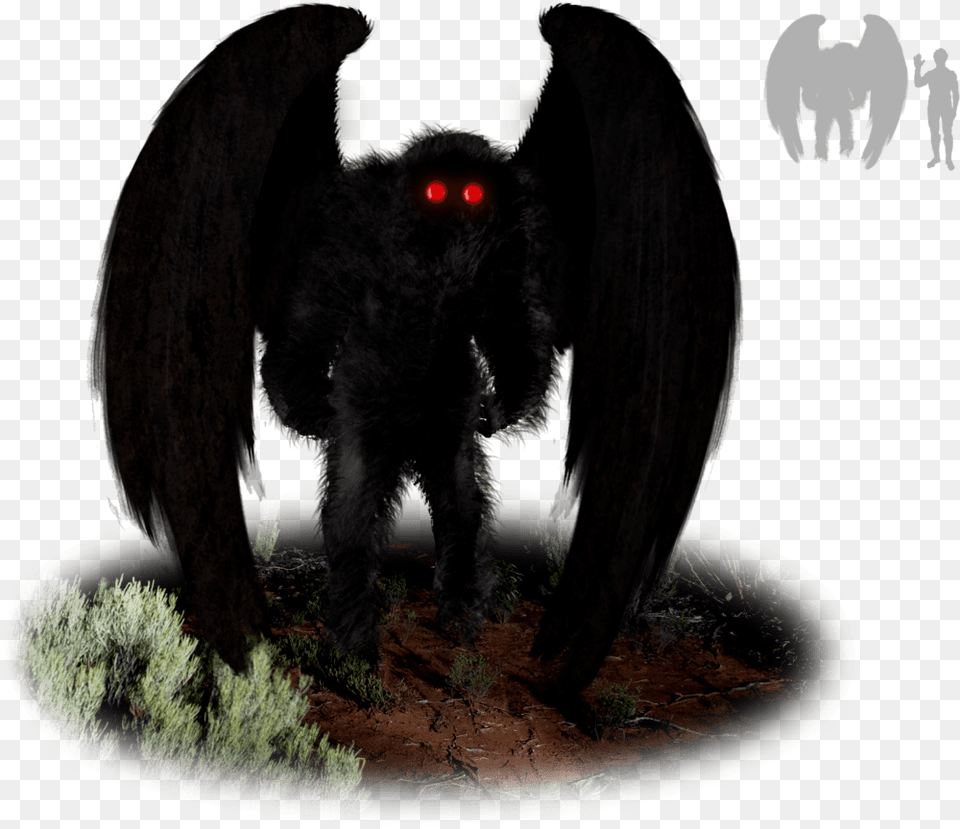 Legendary Monsters Of North American Folklore Mythical Mothman Wikipedia, Animal, Mammal, Panther, Wildlife Free Png