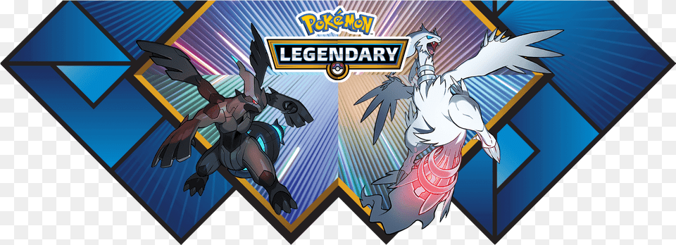 Legendary Pokmon Zekrom And Reshiram Appear For October 2015 Pokmon World Championships, Book, Comics, Publication, Person Free Transparent Png