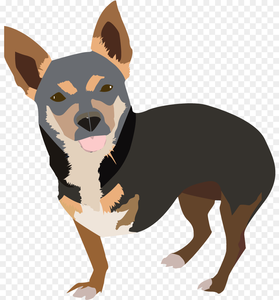 Legged Dog Transparent, Animal, Mammal, Pet, Chihuahua Free Png