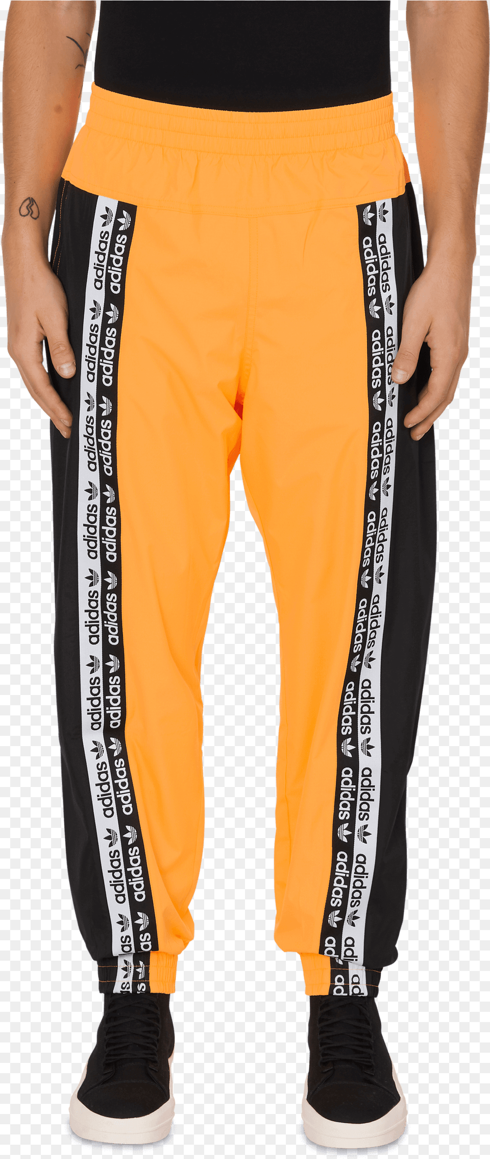 Leggings, Clothing, Pants, Adult, Male Free Png Download