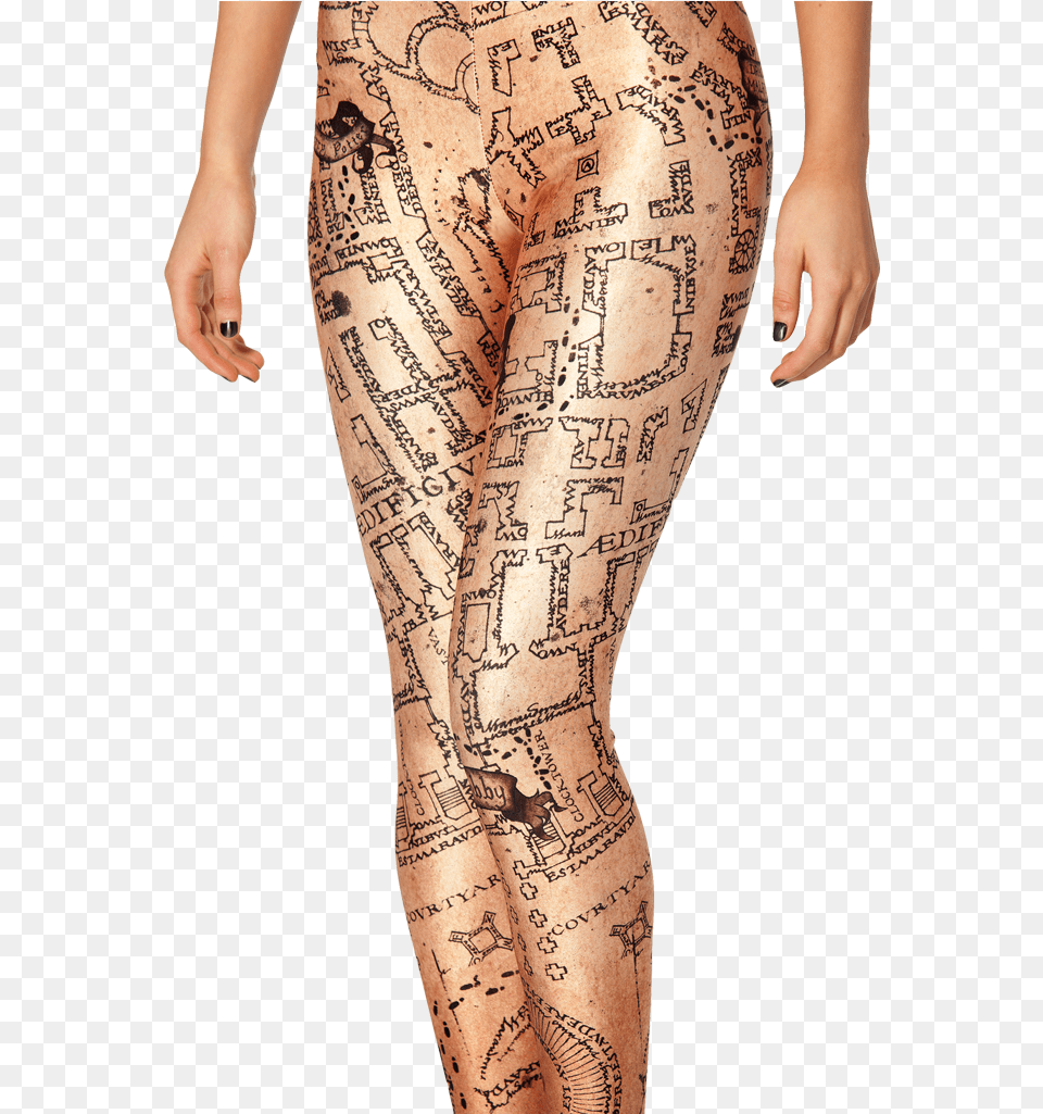 Leggings, Adult, Female, Person, Woman Free Png Download