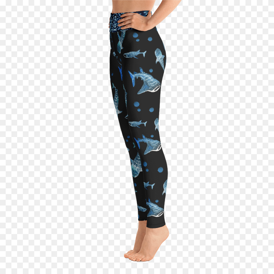 Leggings, Clothing, Pants, Adult, Female Png