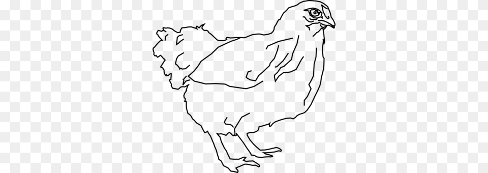Leghorn Chicken Drawing Rooster Line Art Coloring Book Hen Black And White Clipart, Gray Free Png