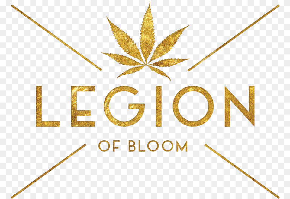 Legion Of Bloom, Leaf, Plant Png Image